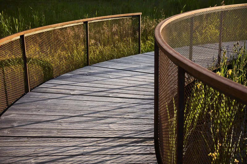 Weathered timber decking of the curved boardwalk with bronze mesh railings and tall grasses beyond