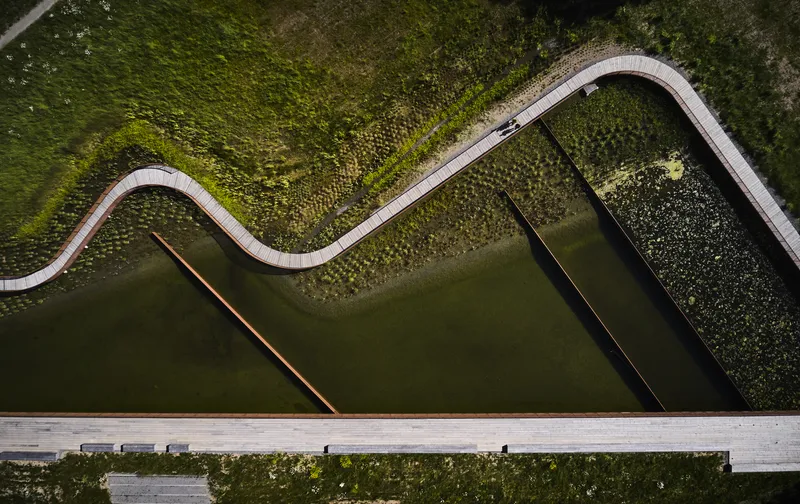Drone view of the serpentine boardwalk weaving through wetland plantings between water bodies