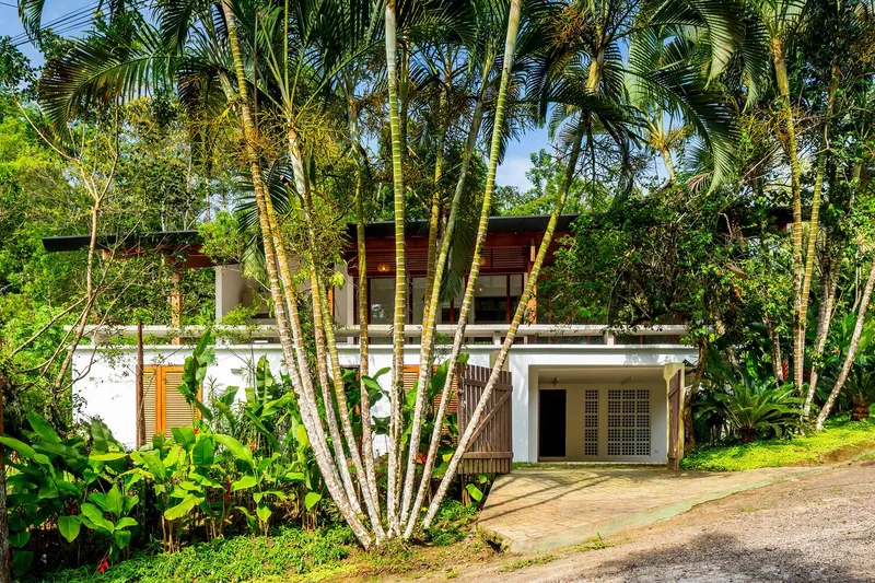 Street view of white stucco facade with timber louvered screens framed by clustered palm trunks