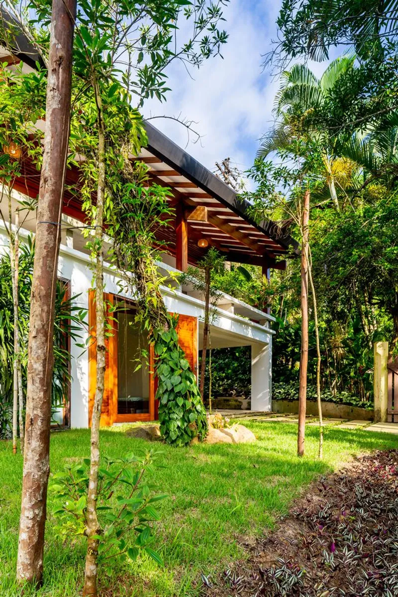 Corner of timber pergola structure with climbing vines among young palms and garden beds
