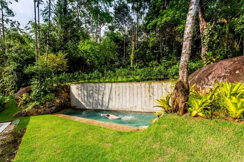 Concrete retaining wall and plunge pool carved into a sloping lawn surrounded by dense tropical vegetation