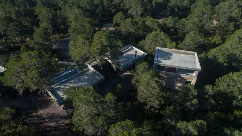 Aerial view of three separate concrete pavilions with flat roofs nestled among dense forest canopy
