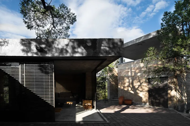 Covered entry courtyard with board-formed concrete walls and dappled tree shadows on the paving