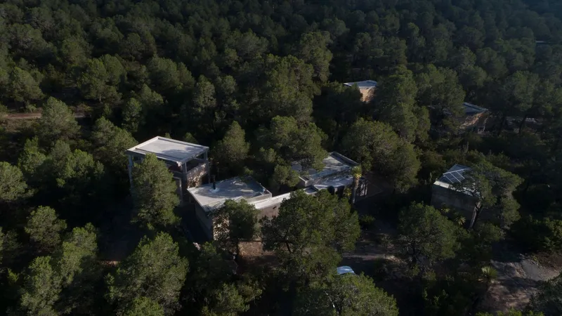 Drone view showing the cluster of flat-roofed volumes connected by pathways through surrounding pine forest