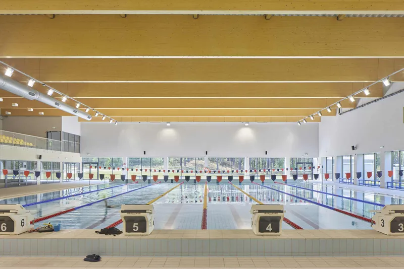 Olympic swimming pool with lane markers under timber ceiling panels and track lighting with glazed perimeter walls