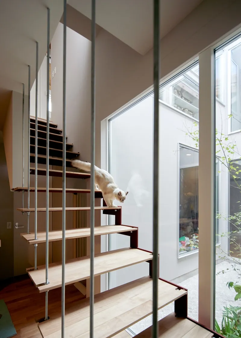 Steel and timber staircase with a white cat descending steps beside glazed courtyard opening