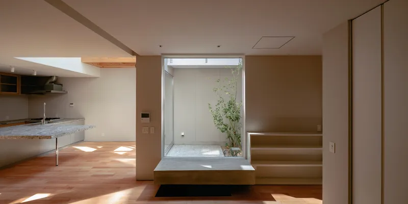 Open living space with timber steps beside a glazed courtyard framed by warm afternoon light