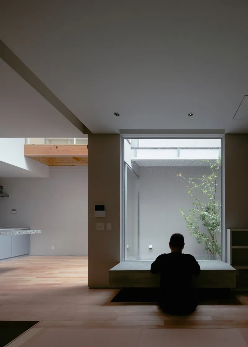 Figure seated on the timber platform looking into the enclosed courtyard with tree
