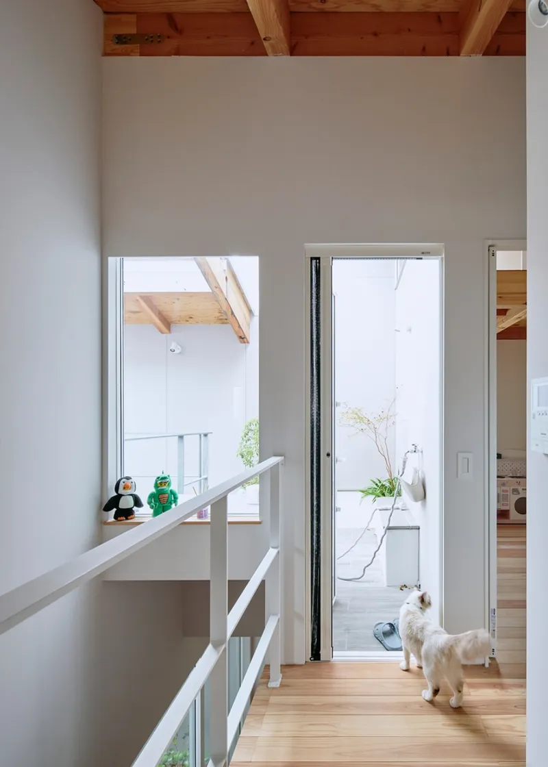 Hallway with exposed timber ceiling beams leading to a courtyard where a dog stands