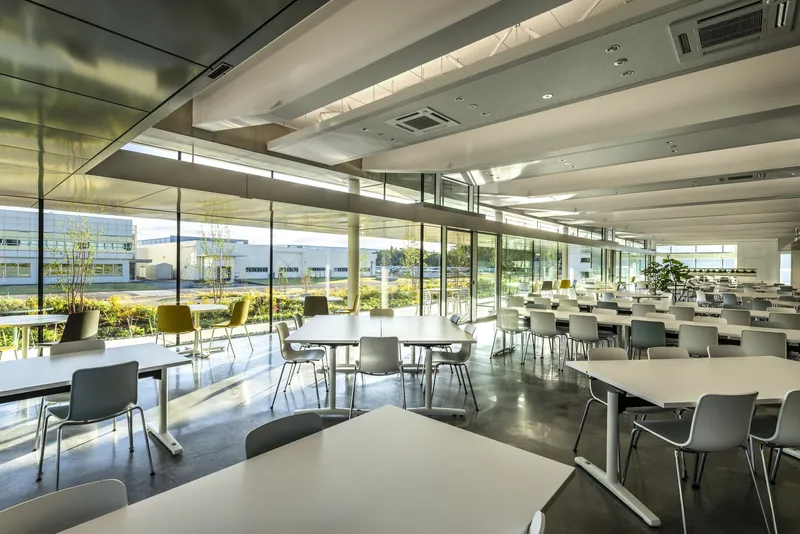 Cafeteria interior with white tables and chairs beneath linear white ceiling beams and full-height glazing to planted courtyard