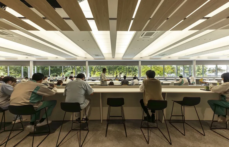 Study hall with students seated at long counter beneath alternating timber and white ceiling slats with integrated lighting