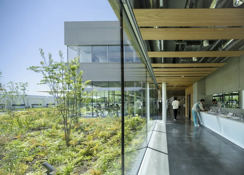 Interior corridor with floor-to-ceiling glass overlooking planted courtyard and timber ceiling beams with exposed ducts