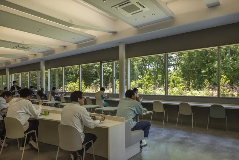 Study hall with ribbon windows framing tree canopy and people working at rectangular tables