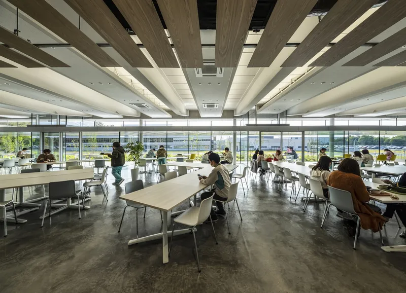 Cafeteria interior with alternating timber and white ceiling beams and people seated at tables by floor-to-ceiling windows