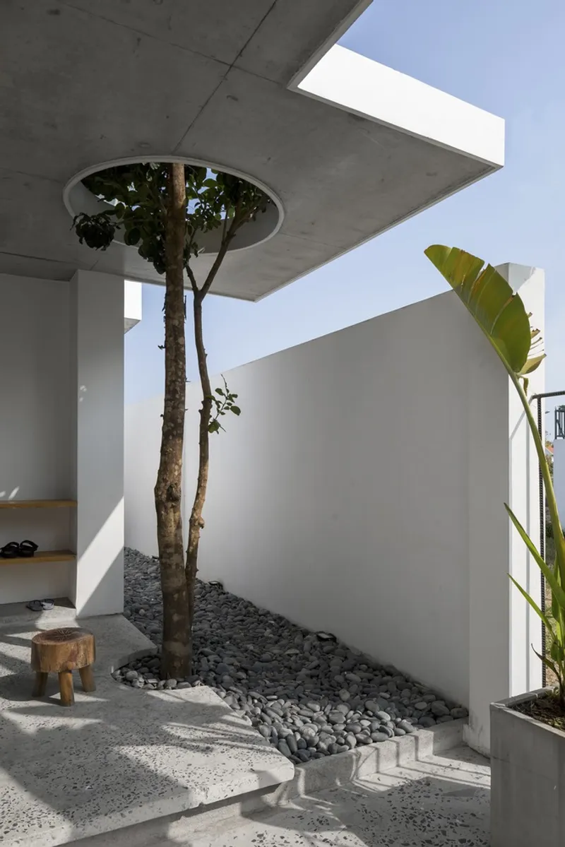 Tree growing through circular opening in concrete ceiling slab above terrazzo flooring and pebble bed
