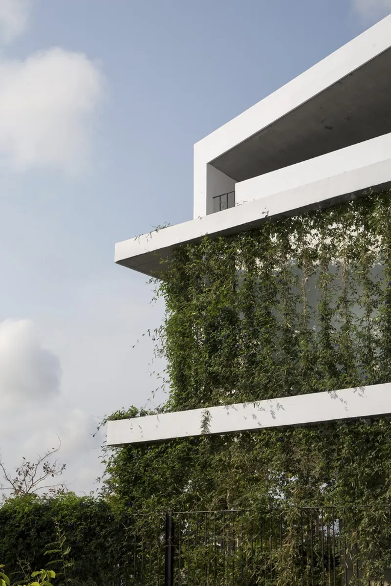 Cantilevered balcony with green wall planting cascading between white concrete slabs