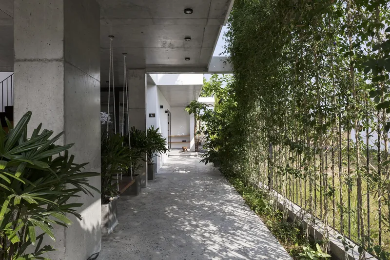 Covered entry passage with exposed concrete ceiling, planted beds and bamboo screen wall in dappled sunlight