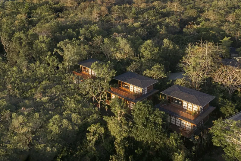 Aerial view of the timber volumes with broad overhanging roofs nestled within dense forest canopy at golden hour
