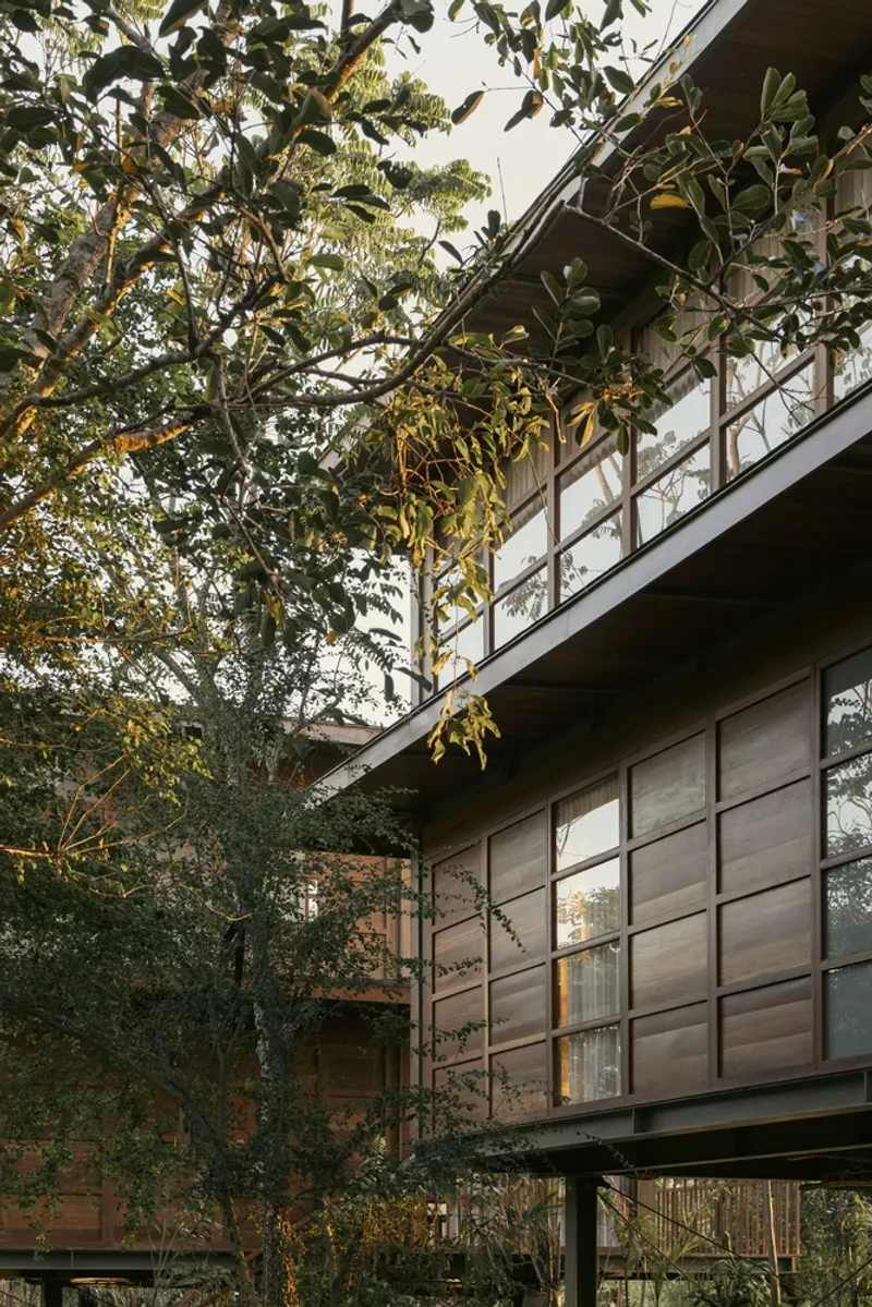 Stacked timber volumes with gridded glazing framed by surrounding trees in late afternoon light