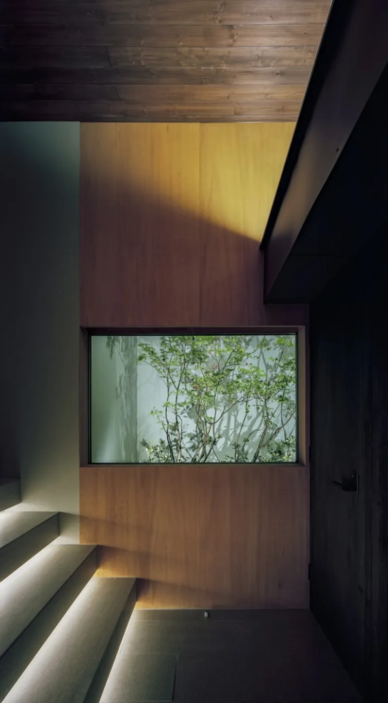 Staircase with timber wall panels and horizontal window framing green courtyard plants under uplighting at night