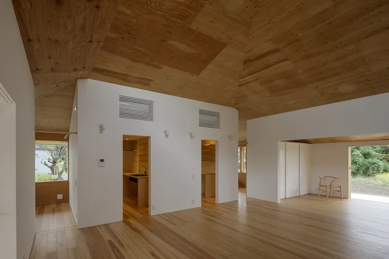 Living area with stepped plywood ceiling, white service core, and timber flooring under natural light