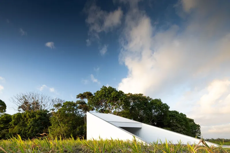 Folded white roof plane emerging from planted grasses with mature trees in late afternoon light