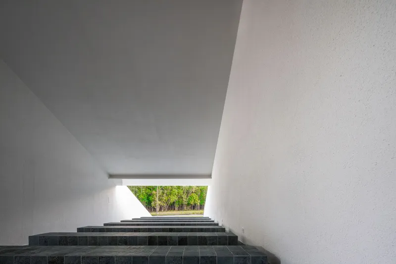Dark stone steps ascending through white plastered passageway toward framed view of forest canopy