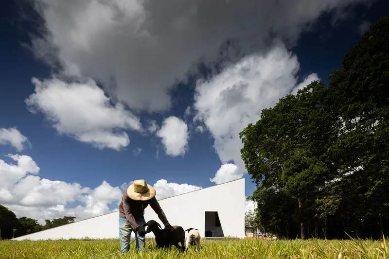 Person with straw hat and dog crossing open field toward low white volume with trees beyond
