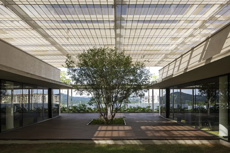 Central courtyard with a multi-stemmed tree in a timber deck opening beneath the slatted canopy