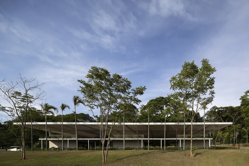 Elevated pavilion with a floating concrete roof and slender columns set within a clearing of tall trees