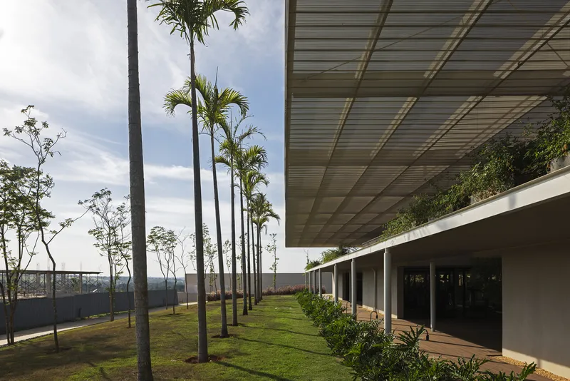 Linear covered walkway with translucent roof panels beside a row of young palm trees
