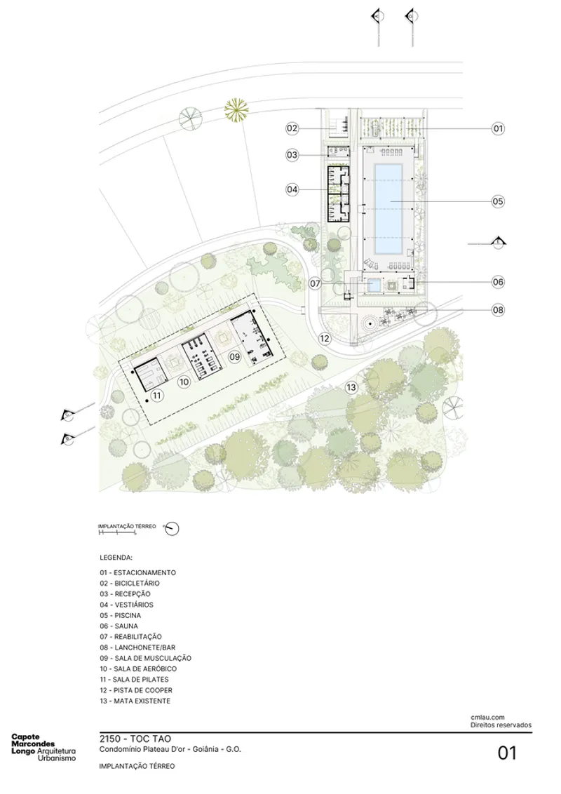 Site plan drawing showing multiple buildings, pool, lawn areas and tree planting across an angular plot