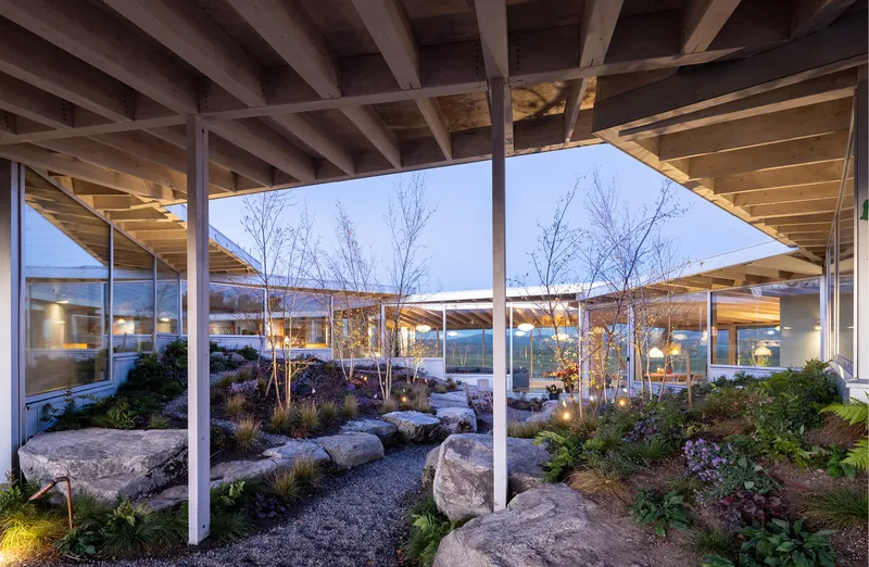 Interior courtyard with birch trees, boulders, and low plantings beneath exposed timber roof structure