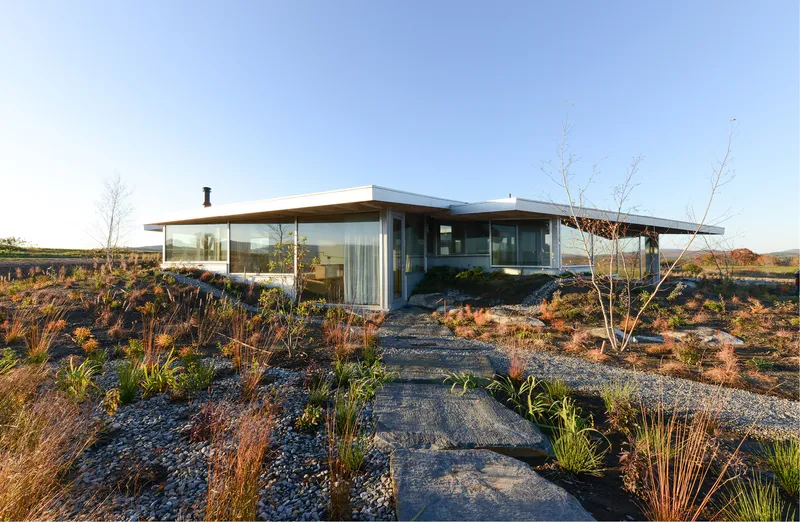 Entry pathway of flat stones leading through gravel and native grasses toward the glazed facade