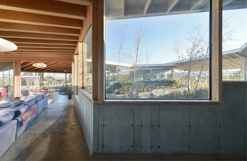 Corridor with concrete partition wall and continuous glazing revealing planted courtyard with young trees