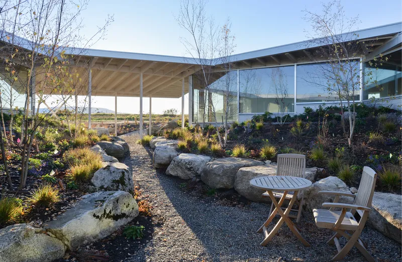 Planted courtyard with large boulders and native grasses beneath the cantilevered timber roof