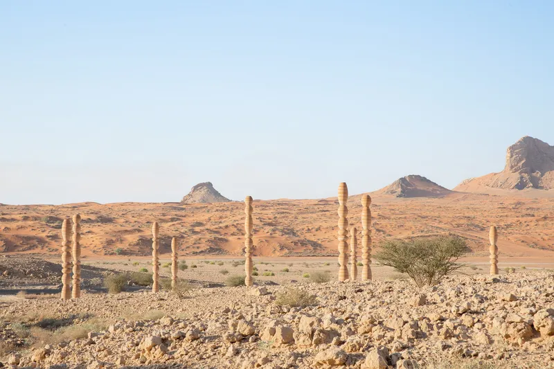 Line of stacked timber columns stretching across the rocky desert landscape with sparse vegetation