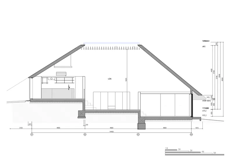 Section drawing revealing the interior volumes beneath the sloped roof with split-level floor plates