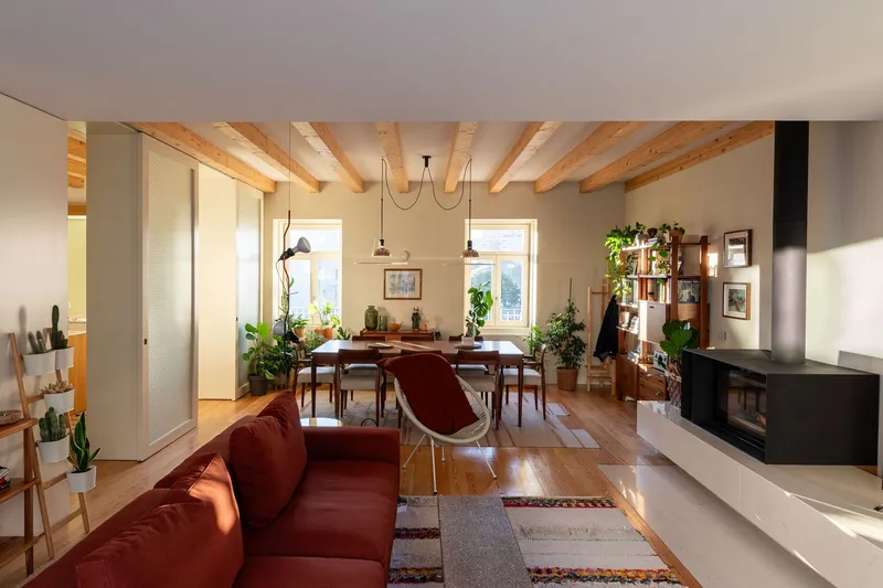 Open-plan living and dining space with exposed timber ceiling beams and potted plants throughout