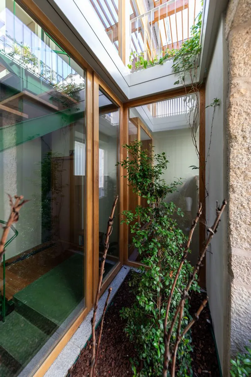 Narrow planted courtyard with timber-framed glazing and balconies visible through the skylight opening above