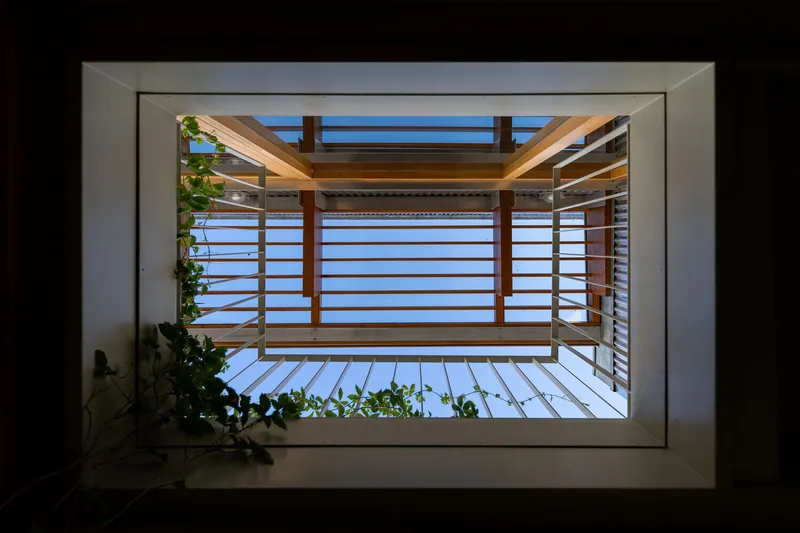 View up through a skylight framed by timber louvers and beams with climbing plants at the edges