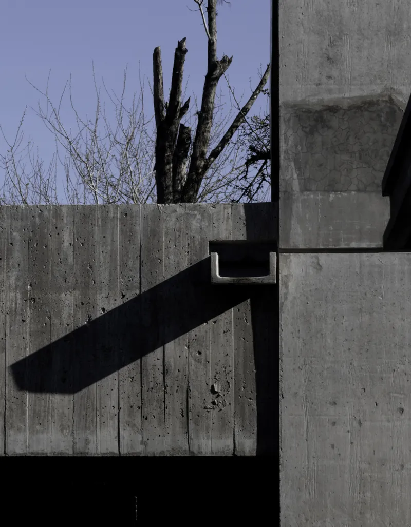 Board-formed concrete wall intersection with a steel downspout casting sharp shadows beneath bare winter trees