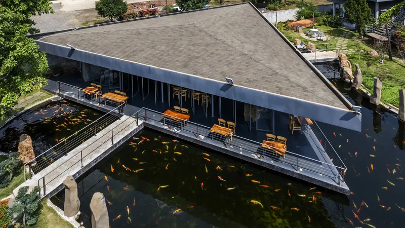 Aerial view of the angular roofline extending over orange koi fish swimming in dark pond water below
