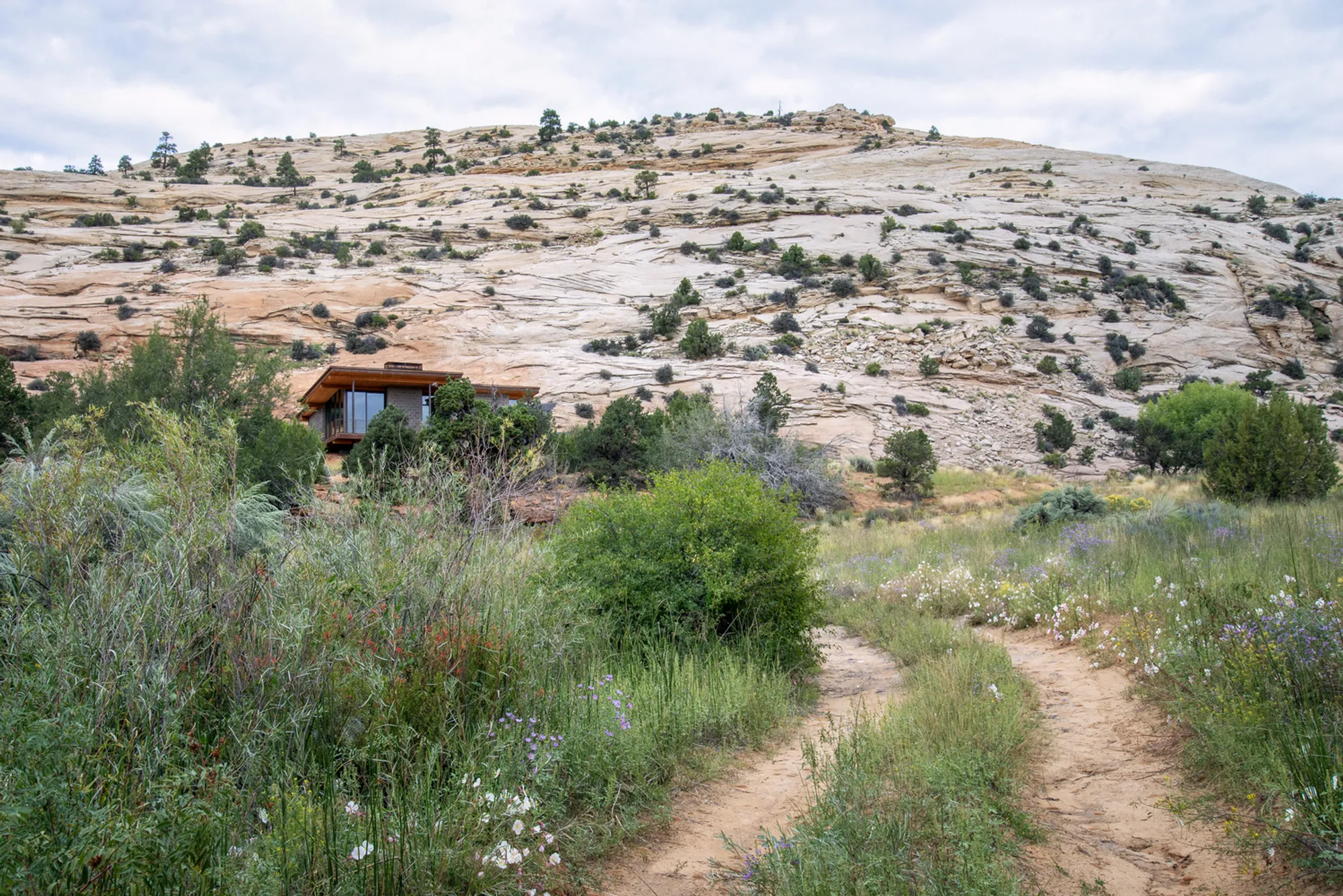 Imbue Design Tucks a Concrete Block Retreat into the Sandstone Canyons of Escalante