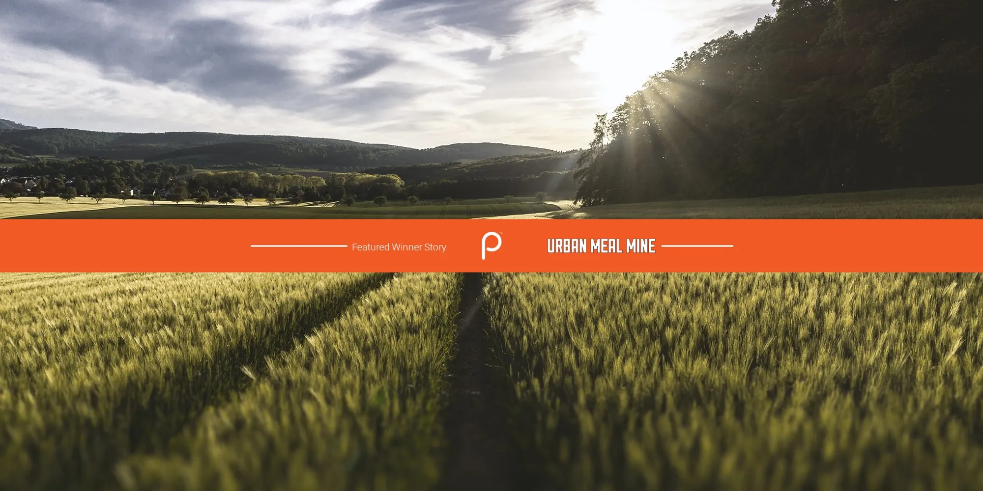 Grow your food in the city with Urban Meal Mine