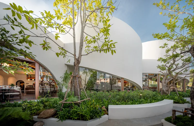Courtyard garden with curved white planter bed surrounding young trees under a blue sky