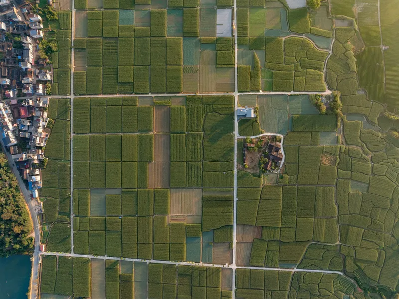 Drone view showing gridded agricultural plots with a compound nestled among the patchwork of green fields