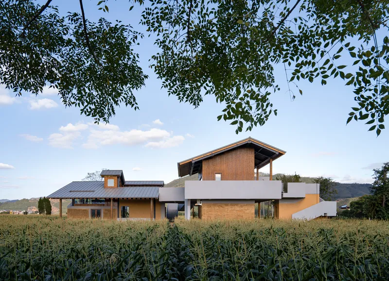 Timber and white stucco volumes rising from a green cornfield under an afternoon sky