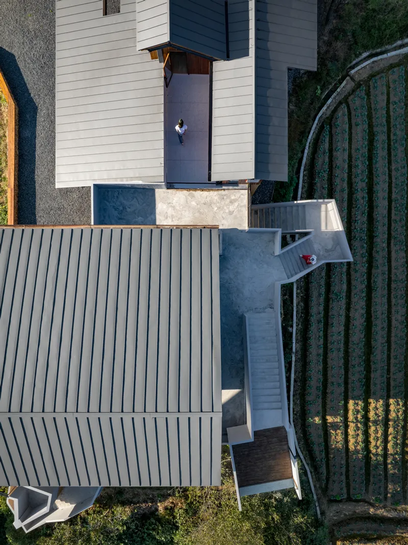 Overhead view showing concrete courtyards connecting timber-clad volumes and adjacent crop rows