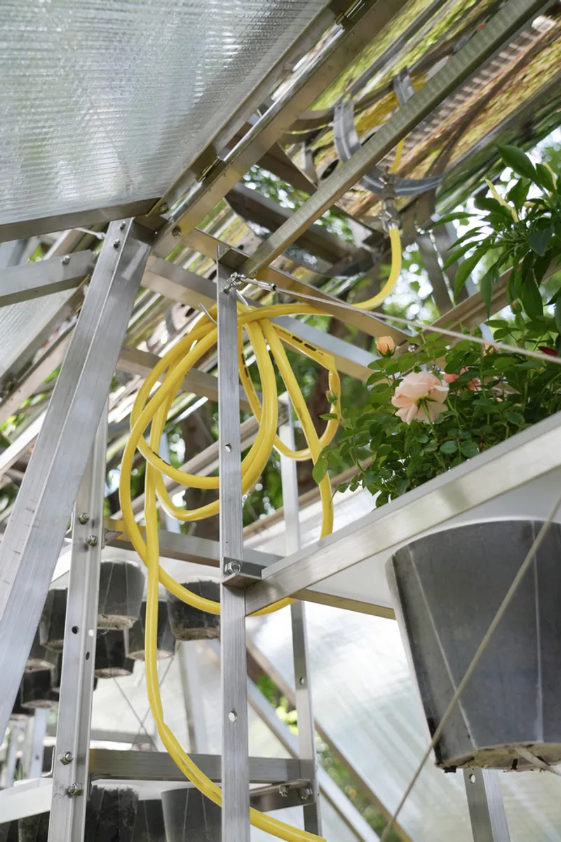 Interior corner showing yellow irrigation tubing coiled around aluminum framing with planted trays and flowering plants